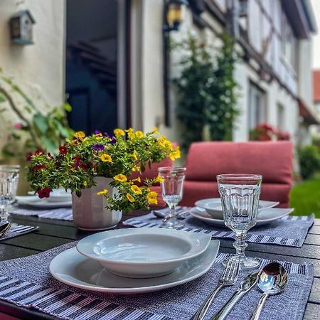 Am Mathildenbrunnen Gross Apartment Quedlinburg Bagian luar foto